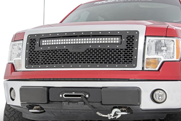 MESH GRILLE | FORD F-150 2WD/4WD (09-14)