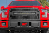 FORD MESH GRILLE W/30IN DUAL ROW BLACK SERIES LED (15-17 F-150)