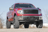 MESH GRILLE | FORD F-150 2WD/4WD (2009-2014)